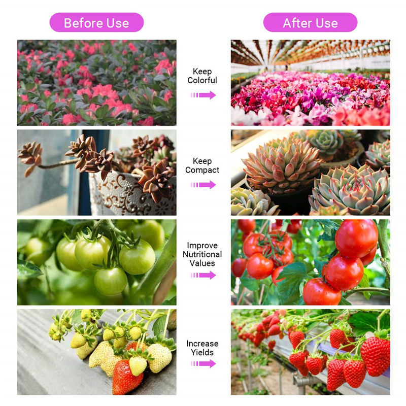 Grow Led Light 1500W 1200W 1000W Full Spectrum Led Grow Tent Covered Green houses Lamp Plant Grow Lamp for Veg Flowering Aluminium DHL