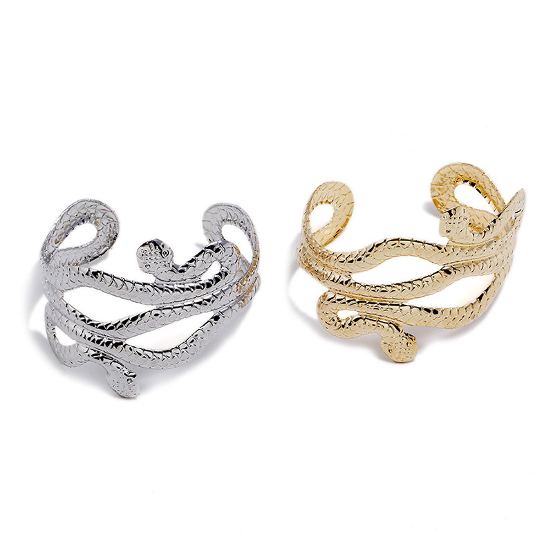 Animals A Two-headed Snake Bracelets Trendy Style Gold Silver Double Python Intertwine Connect Opening Bracelets for Women Girls
Animals A Two-headed Snake Bracelets Trendy Style Gold Silver Double Python Intertwine Connect Opening Bracelets for Women Girls
