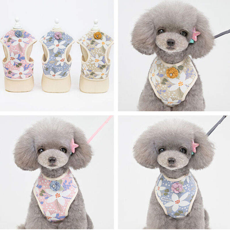 Pet Chest Back Collar Traction Rope Clothing Spring And Summer Wholesale Youpai Chest Five Leaf Flower
Pet Chest Back Collar Traction Rope Clothing Spring And Summer Wholesale Youpai Chest Five Leaf Flower
