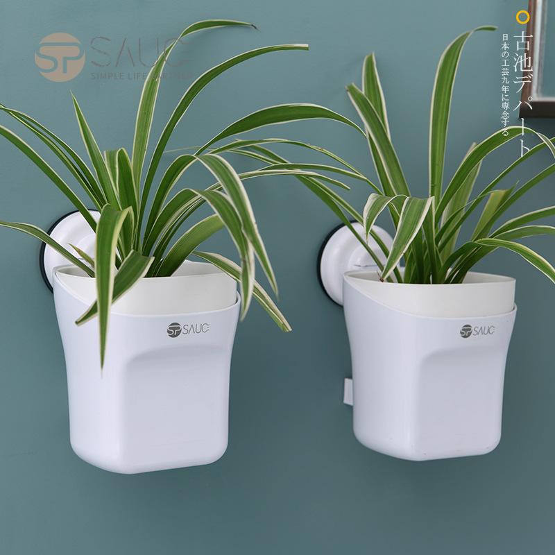 Sucker Plant Rack Household Indoor Wall-mounted Potted Plant Shelf Receives Multi-flesh Flower Pot Shelf
Sucker Plant Rack Household Indoor Wall-mounted Potted Plant Shelf Receives Multi-flesh Flower Pot Shelf