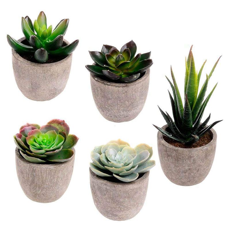 Assorted Decorative Faux Succulent Artificial Succulent Cactus Fake Cacti Plants with Gray Pots, Set of 5, Green
Assorted Decorative Faux Succulent Artificial Succulent Cactus Fake Cacti Plants with Gray Pots, Set of 5, Green