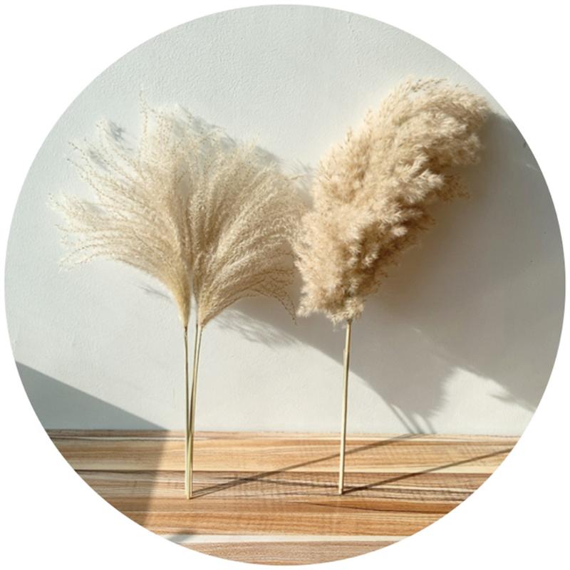 8pcs/10pcs/20 Pcs real dried small pampas grass wedding flower bunch natural plants decor home decor dried flowers Free shipping, 10 pcs small pampas
8pcs/10pcs/20 Pcs real dried small pampas grass wedding flower bunch natural plants decor home decor dried flowers Free shipping, 10 pcs small pampas