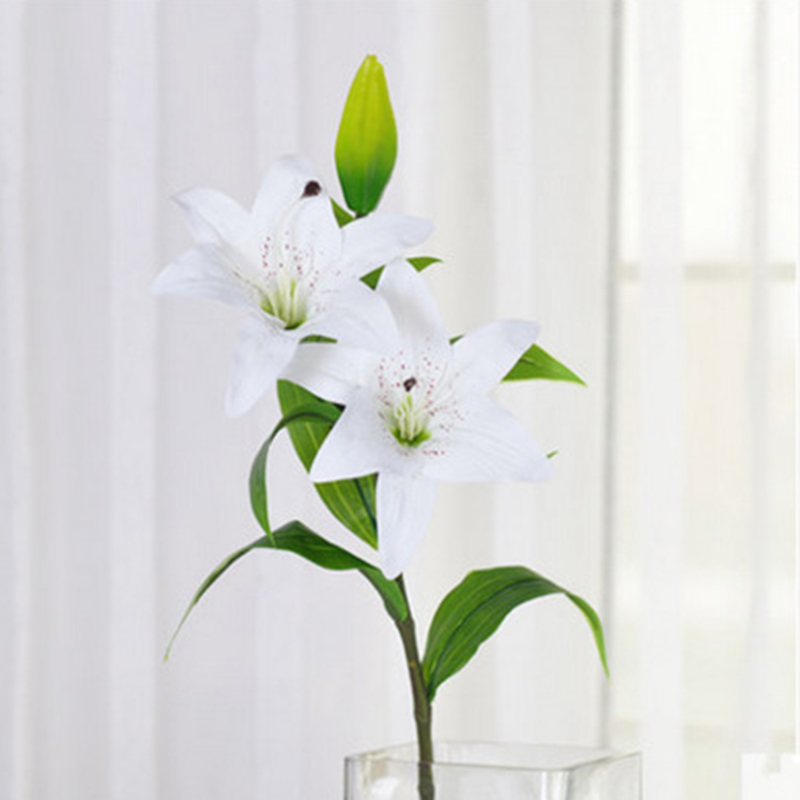 Vivid Artificial Plastic Simulation Long Lily Flower With Bud 75cm Home Office Decor, Dark pink
Vivid Artificial Plastic Simulation Long Lily Flower With Bud 75cm Home Office Decor, Dark pink