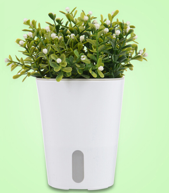 Creative automatic absorbent plastic lazy flowerpot Cotton rope suction basin Green carrot imitation ceramic green planting large flowerpot
Creative automatic absorbent plastic lazy flowerpot Cotton rope suction basin Green carrot imitation ceramic green planting large flowerpot