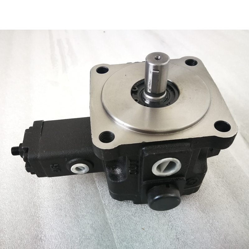 ANSON variable displacement vane pump PVF-40-55-10 PVF-40-70-10 PVF-30-55-10 PVD-30-35-10 hydraulic single pump
ANSON variable displacement vane pump PVF-40-55-10 PVF-40-70-10 PVF-30-55-10 PVD-30-35-10 hydraulic single pump