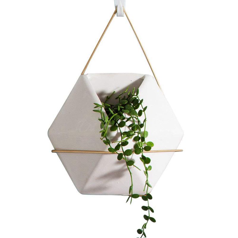 Modern Hanging Planter Vase, Geometric Wall Decor Container - Great For Succulent Plants, Air Plant, Faux Plants hexagon, White
Modern Hanging Planter Vase, Geometric Wall Decor Container - Great For Succulent Plants, Air Plant, Faux Plants hexagon, White