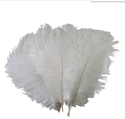 Colorful 10-12 inch(25-30 cm) Ostrich Feather plumes for wedding centerpiece wedding party event decor festive decoration GB834
Colorful 10-12 inch(25-30 cm) Ostrich Feather plumes for wedding centerpiece wedding party event decor festive decoration GB834
