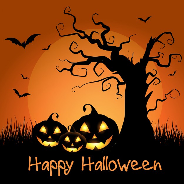 Cosplay Eyes Contact Lens Cases Wholesale Price Cosmetic Halloween Color Contacts Boxes
Cosplay Eyes Contact Lens Cases Wholesale Price Cosmetic Halloween Color Contacts Boxes
