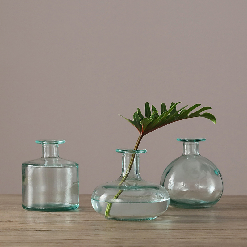 modern Nordic style Creative simplicity glass vase Transparent Home decoration modern home decor glass vase flowers
modern Nordic style Creative simplicity glass vase Transparent Home decoration modern home decor glass vase flowers