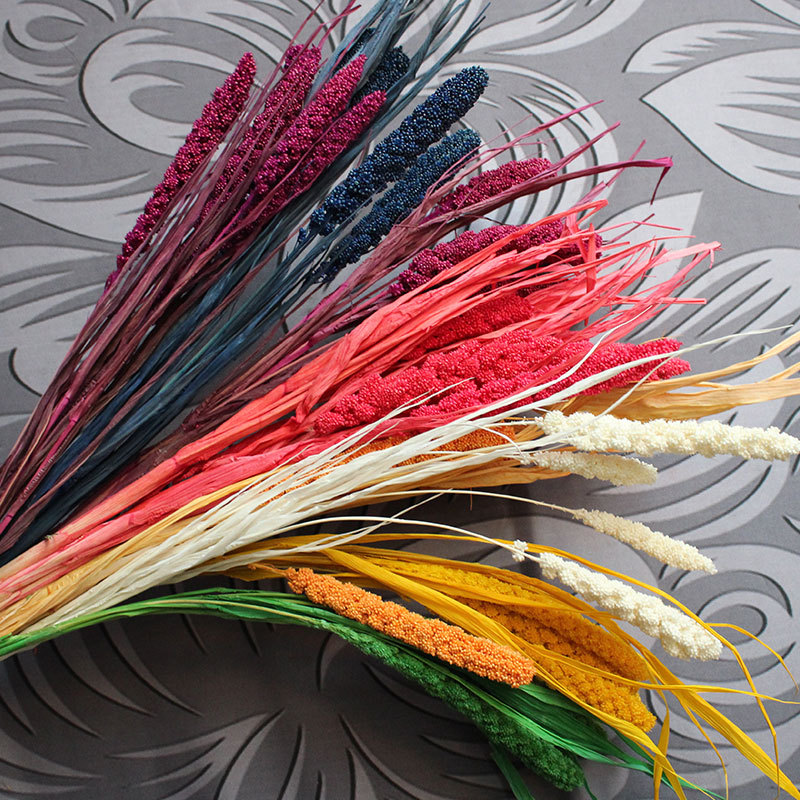 millet natural drying art flower arrangement dried millet ear shoot props, colorful flowers, vase arrangement flowers, Blue
millet natural drying art flower arrangement dried millet ear shoot props, colorful flowers, vase arrangement flowers, Blue