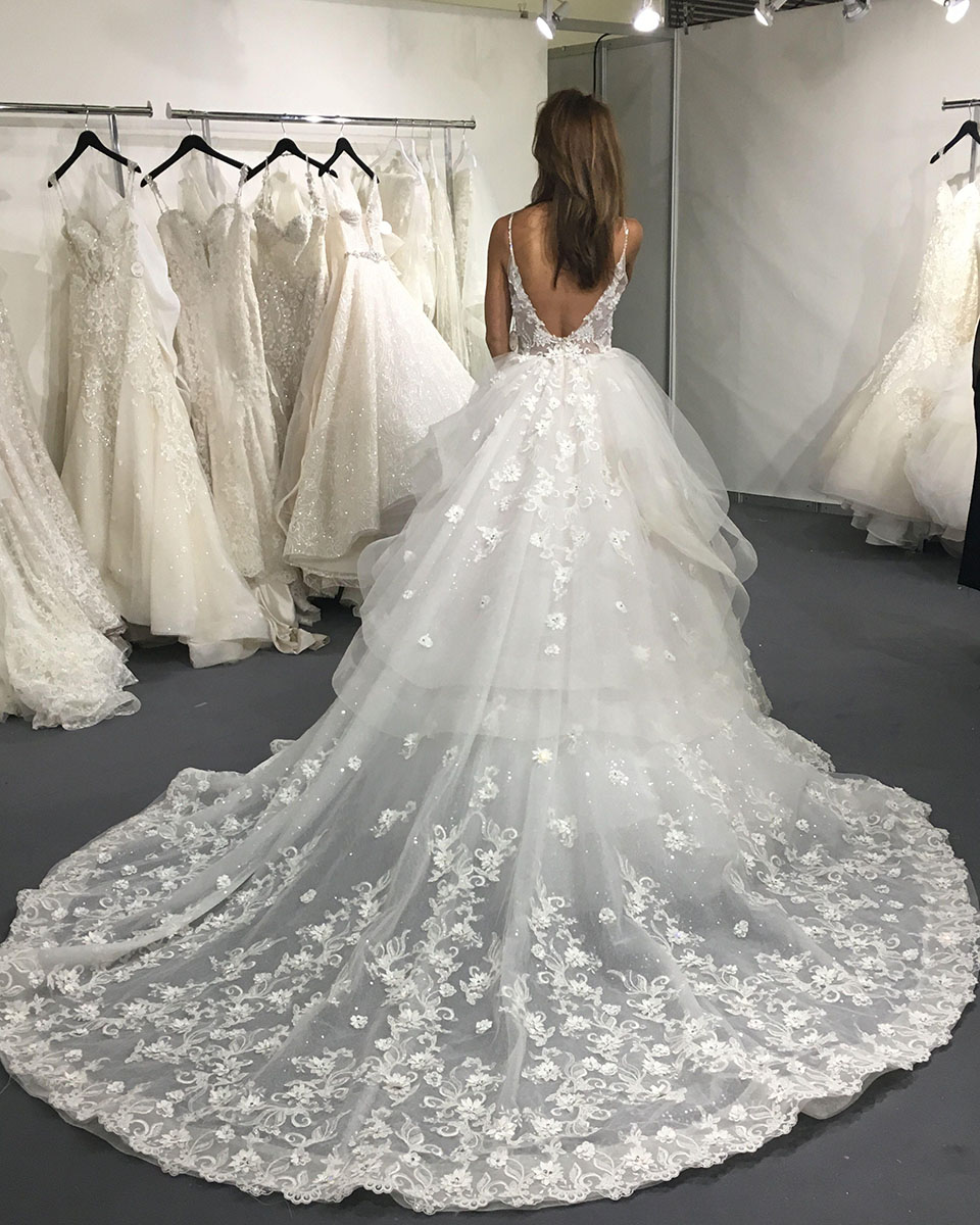 Elegant Lace Wedding Dresses A Line Spaghetti V Neck Backless Bridal Gowns Bead Lace Tulle Sheer Formal Gowns for Bride Wed Dress Wed