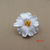 flower 36pcs free shipping colors Foam Hawaiian flower bridal hair clip 9cm you pick jewelry frangipani