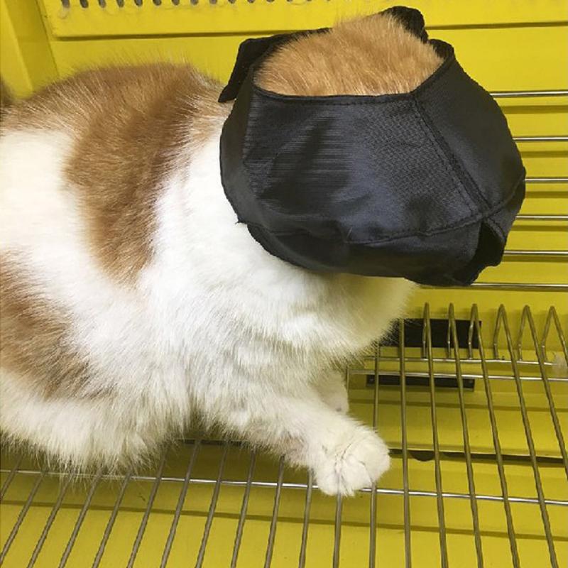 Breathable Cat Muzzle Pet Masks Bath Beauty Travel Anti Bite Cats Muzzle Mask Cat Eye Protective Cover Pet Grooming Supplies
Breathable Cat Muzzle Pet Masks Bath Beauty Travel Anti Bite Cats Muzzle Mask Cat Eye Protective Cover Pet Grooming Supplies