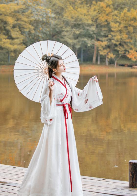 Elegant Hanfu Dress Ancient Chinese Costume Chinese Style Embroidery Tang Dynasty Traditional Nation Dance Princess Dress
