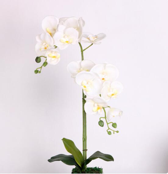 10Pcs/lot Lifelike Artificial Butterfly Orchid flower Silk Phalaenopsis Wedding Home DIY Decoration Fake Flowers free shipping