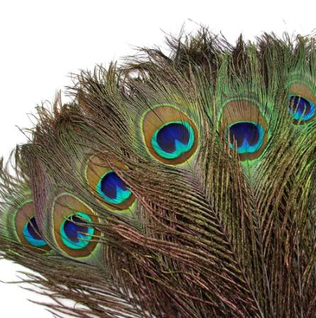 Party Decoration Natural Real Peacock Feathers For Crafts 25-80cm dress is with Home Hotel decor room vase