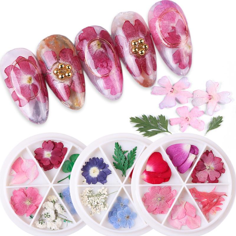 Mix Natural Nail Dried Flowers 3D Nail Art Decorations Jewelry Pressed Blossom Floral Leaf Sticker Slider Polish Manicure TR1559
Mix Natural Nail Dried Flowers 3D Nail Art Decorations Jewelry Pressed Blossom Floral Leaf Sticker Slider Polish Manicure TR1559