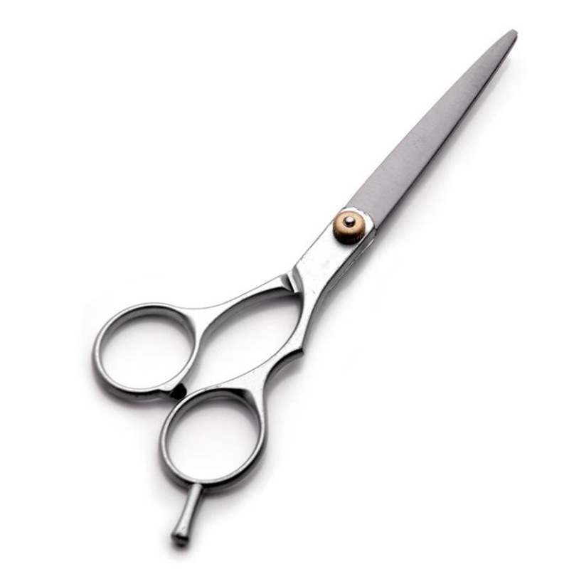 Silver Barber Scissor Cutting Shears Thinning Scissors Professional Hairdressing Scissors Hair Scissors Fast Shipping F2510