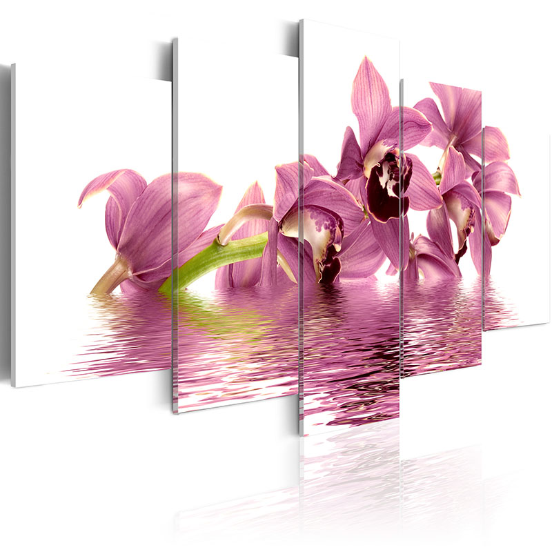 No Frame 5 Panels Modern Canvas Prints Artwork Beautiful Poppy Flower Abstract Dancer Canvas Painting Wall Art Home Decor For Living Room Pi