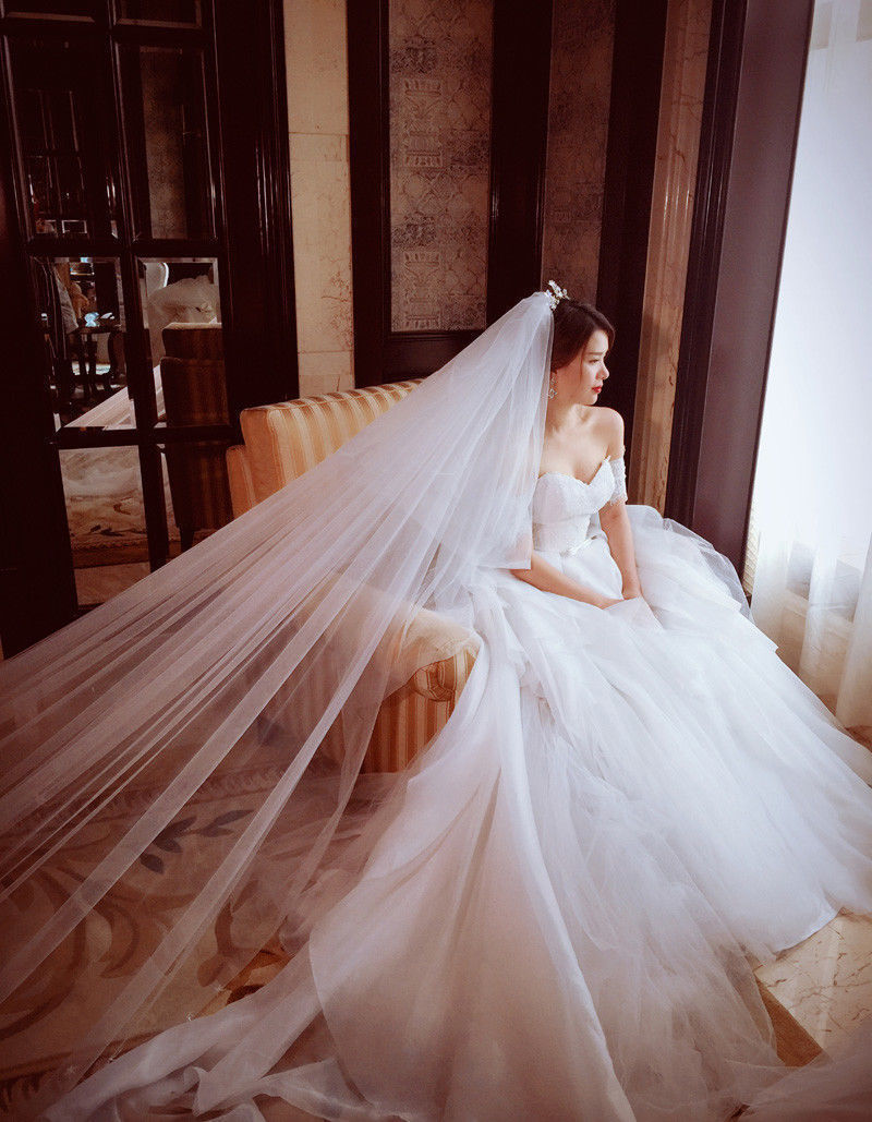Hot Sale Wedding Bridal Veils 2T Cathedral Length 3m Long Star Lace Applique Veil With Free Comb