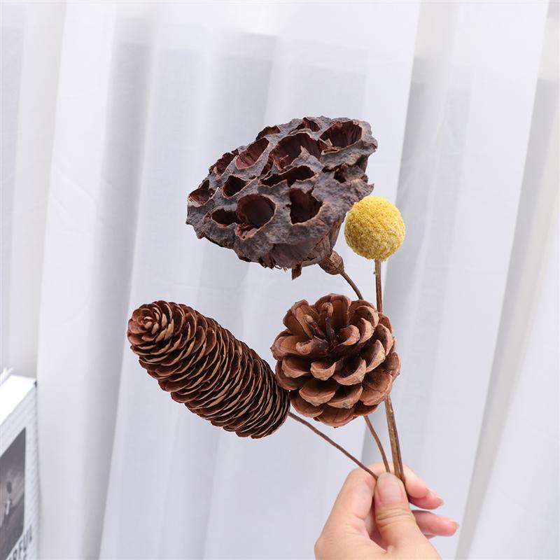 4pcs Chic Natural Dried Plant Dried Flower Adornment Handmade Plant Ornament Photography Props For Party Home Decoration, Brown
4pcs Chic Natural Dried Plant Dried Flower Adornment Handmade Plant Ornament Photography Props For Party Home Decoration, Brown