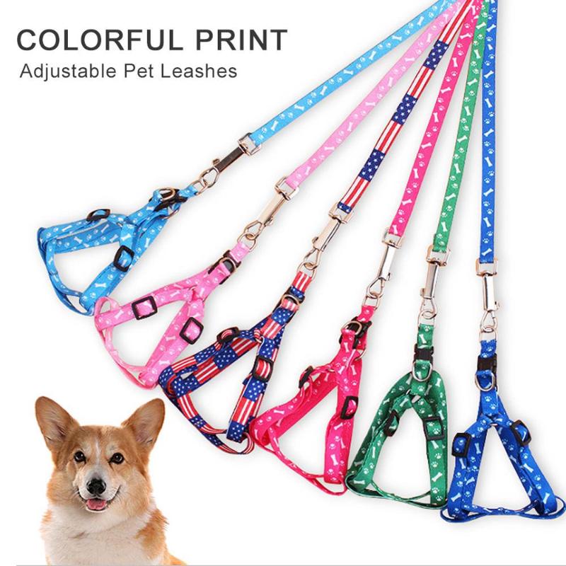 High Quality Pet Dog Harness Adjustable Pet Leashes Puppy Collar for Small Dogs Cat Harness Medium Dog Accessories Outdoor Walk
High Quality Pet Dog Harness Adjustable Pet Leashes Puppy Collar for Small Dogs Cat Harness Medium Dog Accessories Outdoor Walk