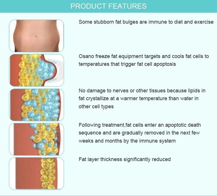 Cryolipolysis Cavitation+RF+Facial RF+40K+Lipo Laser Machine Fat Freezing Device fats reducing Beauty Equipment on Sale