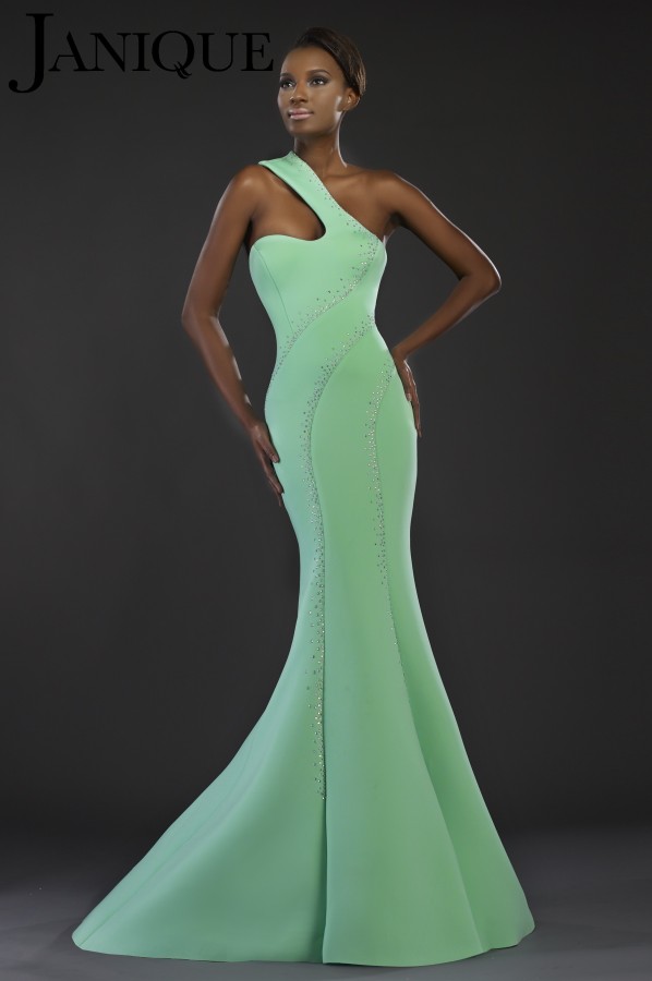 Elegant Janique Mermaid Mother of The Bride Dresses One Shoulder Hollow Crystal Plus Size Wedding Guest Dress Sweep Train Evening Gowns