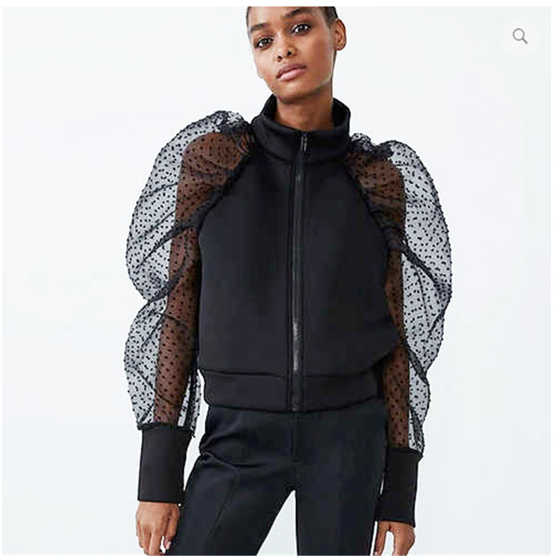 New Autumn Women High Collar Coat Polka Dot Mesh Sheer Puff Sleeve Jacket Sexy Women Tops, Black
New Autumn Women High Collar Coat Polka Dot Mesh Sheer Puff Sleeve Jacket Sexy Women Tops, Black