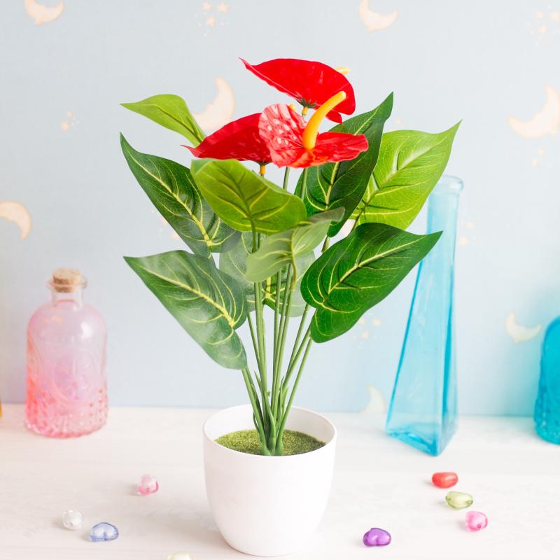 35cm 12Heads Artificial Anthurium Green Red Plastic Fake Plants Home Garden Living Room Bedroom Decoration Artificial Plants
35cm 12Heads Artificial Anthurium Green Red Plastic Fake Plants Home Garden Living Room Bedroom Decoration Artificial Plants