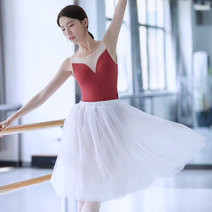 Ballet skirt adult female soft yarn four-layer long skirt dance practice translucent breathable performance gauze sk, Black
Ballet skirt adult female soft yarn four-layer long skirt dance practice translucent breathable performance gauze sk, Black