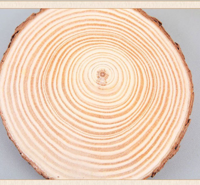 Wholesale-6 coasters wood slices, wood coasters, reclaimed willow wood coasters, set of 6 coasters 6cm 8cm 12cm 14cm