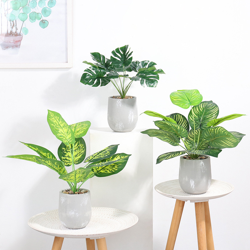 33cm Latex Artificial Plants with Pot Wood Tree Silk Palm Monstera Fake Foliage Wedding Party indoor outdoor Home Decoration
33cm Latex Artificial Plants with Pot Wood Tree Silk Palm Monstera Fake Foliage Wedding Party indoor outdoor Home Decoration