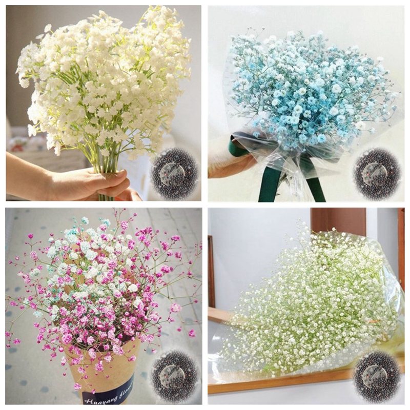 200 pcs Seeds Gypsophila Paniculata Plant Outdoor & Indoor Perennial Garden Flower Ornaments Bonsai for Wedding Decor Easy to Grow
200 pcs Seeds Gypsophila Paniculata Plant Outdoor & Indoor Perennial Garden Flower Ornaments Bonsai for Wedding Decor Easy to Grow