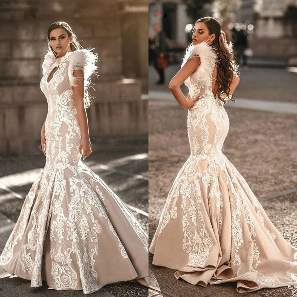 Luxury Feather Mermaid Wedding Dresses Champagne Lace Appliqued High Neck Bridal Gowns Wedding Dress vestidos de novia, Chocolate
Luxury Feather Mermaid Wedding Dresses Champagne Lace Appliqued High Neck Bridal Gowns Wedding Dress vestidos de novia, Chocolate