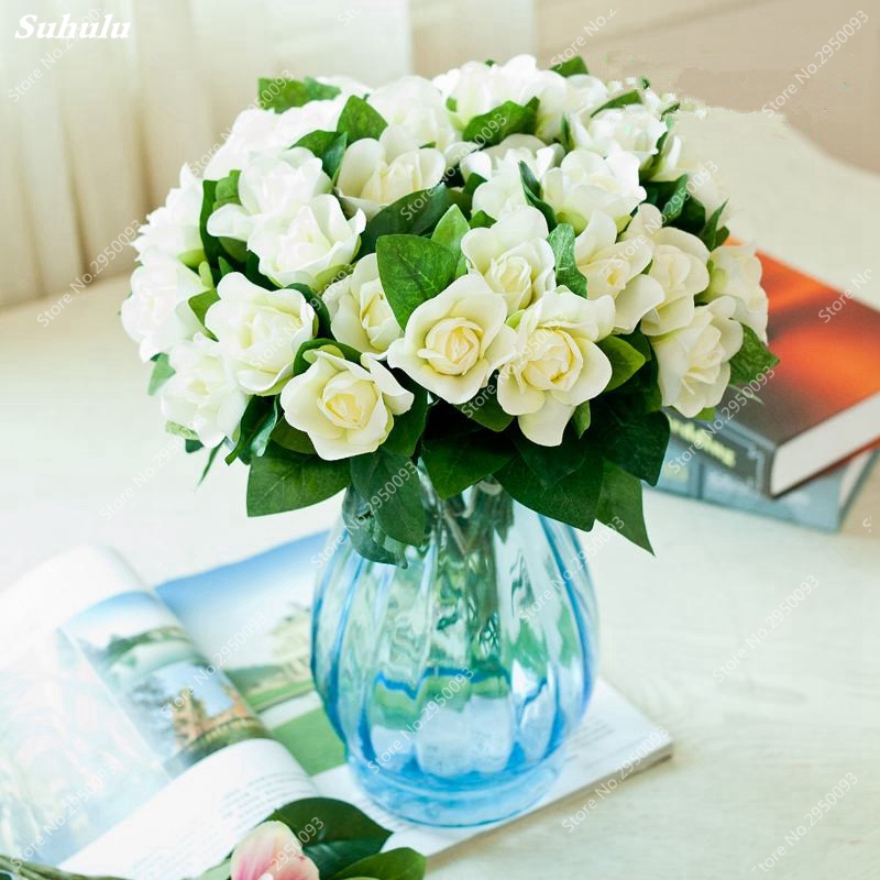 200 pcs Gardenia jasminoides Bonsai plant seeds Flower Very Fragrant Flowers White Cape Jasmine Blooming Flower for HOME GARDEN POT PLANTS
200 pcs Gardenia jasminoides Bonsai plant seeds Flower Very Fragrant Flowers White Cape Jasmine Blooming Flower for HOME GARDEN POT PLANTS