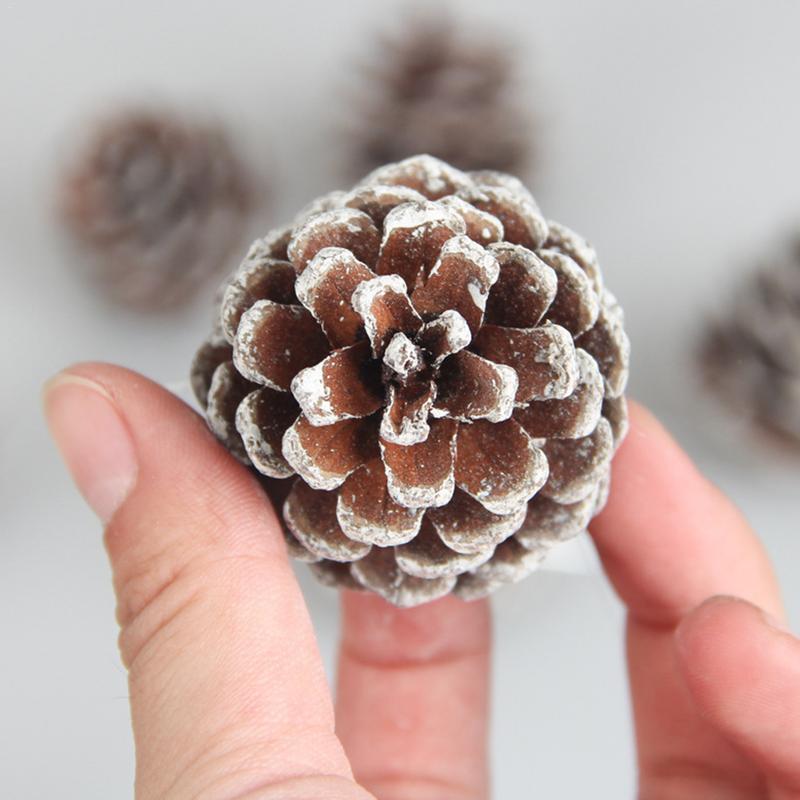 6PCS Christmas Tree Decoration Pine Cone Pendant - Christmas Decoration - Natural Pine Cone Dyed White Small Ornaments
6PCS Christmas Tree Decoration Pine Cone Pendant - Christmas Decoration - Natural Pine Cone Dyed White Small Ornaments