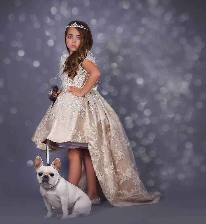2020 New High Low Flower Girl Dresses Jewel Feather Boho First Communion Gowns For Little Girl Short Sleeves A Line Girls Pageant Dresses