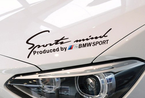 Sports Mind Decal Reflective Car Stickers Headlight Eyebrow Front Cover sticker Compatible for BMW M3 M5 X1 X3 X5 X6 E36 E39 E46 E30 E60 E92 Series