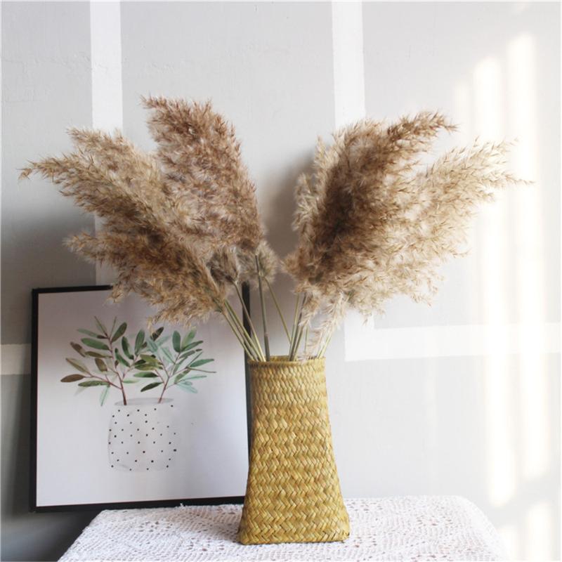 20 Pcs Natural Dried Pampas Grass Phragmites Communis Reed Plants Wedding Flower Bunch Home Decor Diy Dried Flowers Pampas Grass
