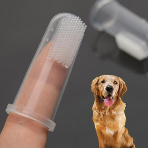 Finger Toothbrush Dog Super Soft Pet Finger Dog Brush Bad Breath Tartar Teeth Tool Dog Cat Cleaning Supplies Pet Hygiene Teeth Care YP389
Finger Toothbrush Dog Super Soft Pet Finger Dog Brush Bad Breath Tartar Teeth Tool Dog Cat Cleaning Supplies Pet Hygiene Teeth Care YP389
