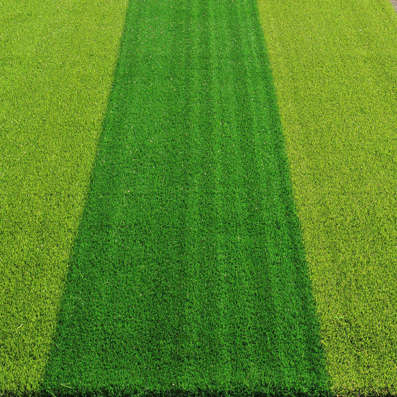 Custom Artificial Grass Plants Lawn Decoration Fake Plant Wall Artificial Grass Plastic Outdoor Decoration, Picture color
Custom Artificial Grass Plants Lawn Decoration Fake Plant Wall Artificial Grass Plastic Outdoor Decoration, Picture color