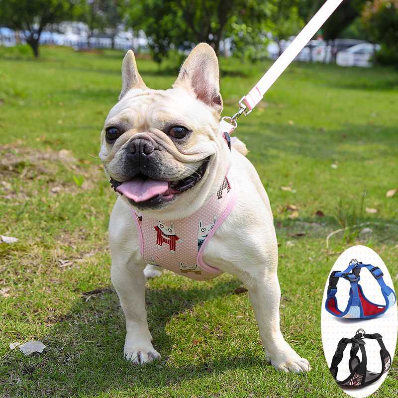 Summer Dog Leash Harness for Small Medium Puppy Nylon Mesh Dog accessories Cat Harness Vest Reflective Walking Lead for Pug 
Summer Dog Leash Harness for Small Medium Puppy Nylon Mesh Dog accessories Cat Harness Vest Reflective Walking Lead for Pug