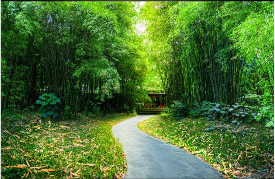 WDBH custom photo mural 3d wallpaper Natural scenery bamboo forest trail scenery home decor 3d wall murals wallpaper for walls 3 d, Non-woven wallpaper
WDBH custom photo mural 3d wallpaper Natural scenery bamboo forest trail scenery home decor 3d wall murals wallpaper for walls 3 d, Non-woven wallpaper
