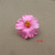 flower 36pcs free shipping colors Foam Hawaiian flower bridal hair clip 9cm you pick jewelry frangipani