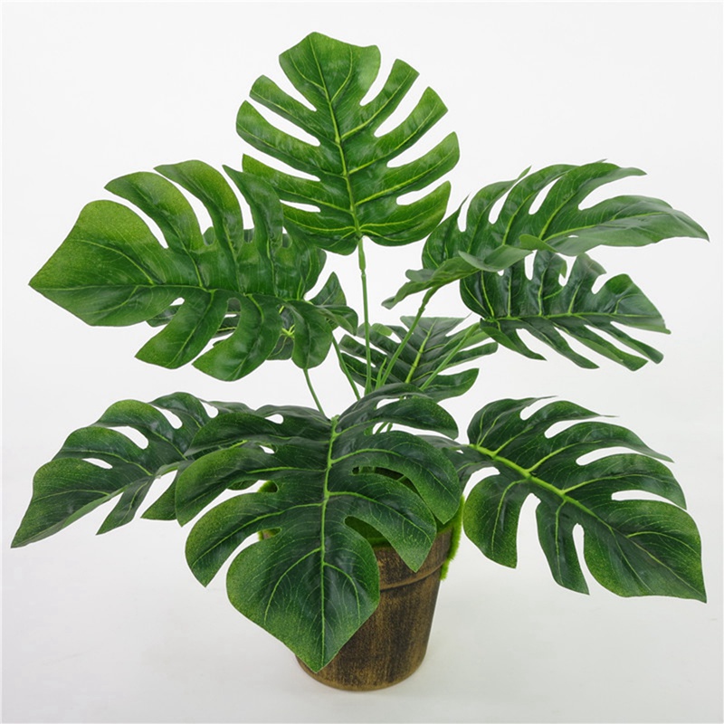 Artificial Plant Decoration Festive Party Supplies 9 Branches Turtle Back Leaves Photography Props Octagonal Leaves
Artificial Plant Decoration Festive Party Supplies 9 Branches Turtle Back Leaves Photography Props Octagonal Leaves