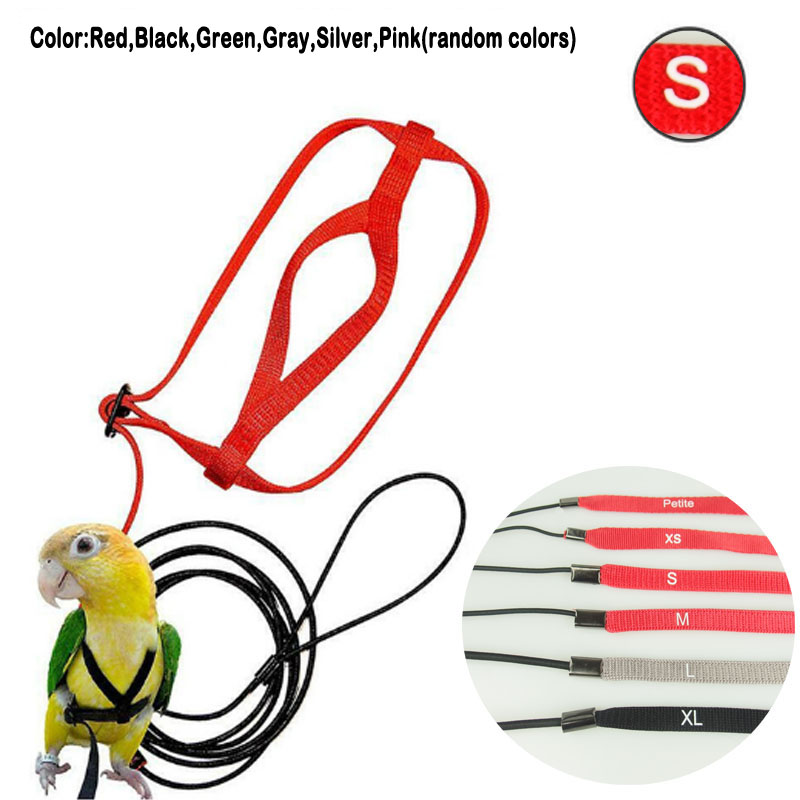 The AVIATOR Bird Harness and Leashes by The Parrot University Adjustable Parrots Bird Harness Leash Anti-Bite Training Rope Outdoor Flying
The AVIATOR Bird Harness and Leashes by The Parrot University Adjustable Parrots Bird Harness Leash Anti-Bite Training Rope Outdoor Flying