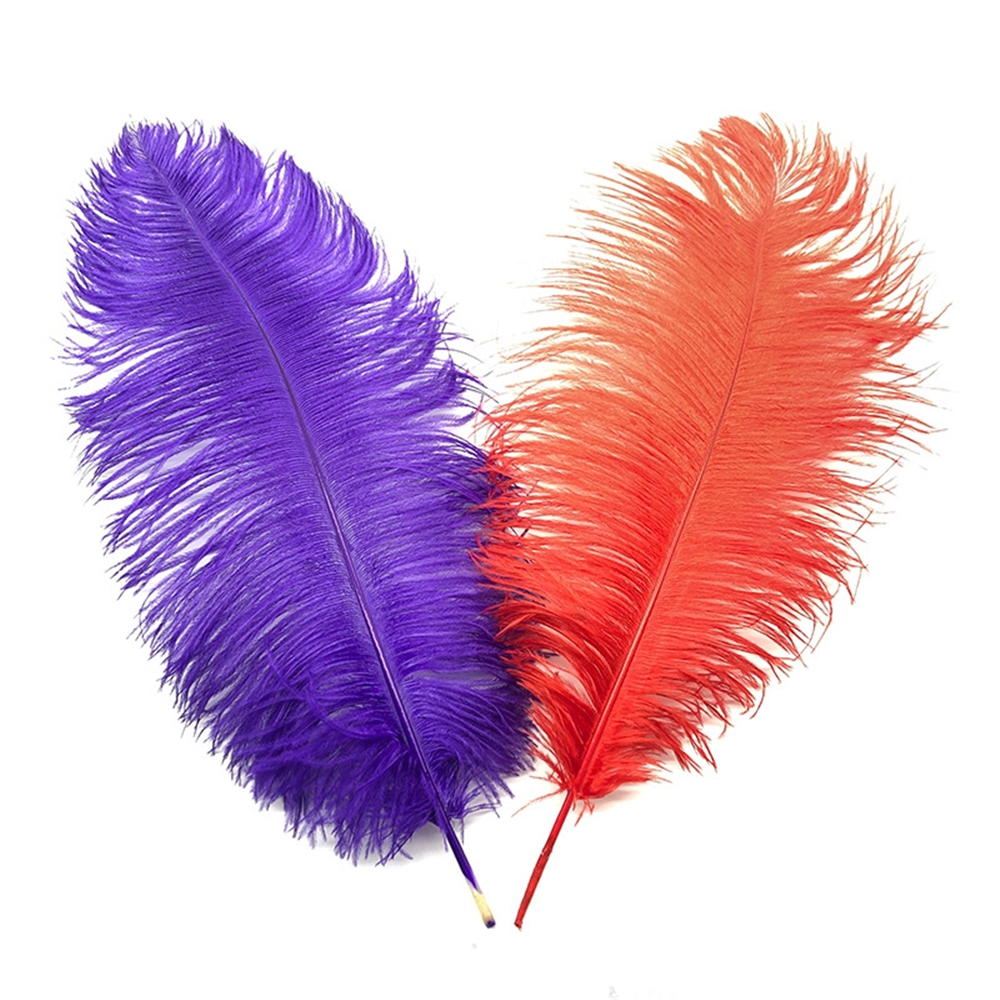 6inch-29inch (15-75cm) DIY Ostrich Feathers Plumes Craft Supplies For Weddings Wedding Party Event Decor Festive Decoration 60 Colours, Beige
6inch-29inch (15-75cm) DIY Ostrich Feathers Plumes Craft Supplies For Weddings Wedding Party Event Decor Festive Decoration 60 Colours, Beige