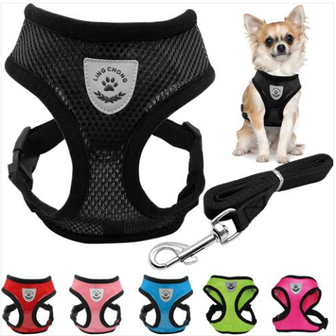 Sales!!! Wholesales Free shipping 2019 Breathable Mesh Dog Pet Harness and Leash Set Puppy Vest Chest Strap, Blue
Sales!!! Wholesales Free shipping 2019 Breathable Mesh Dog Pet Harness and Leash Set Puppy Vest Chest Strap, Blue
