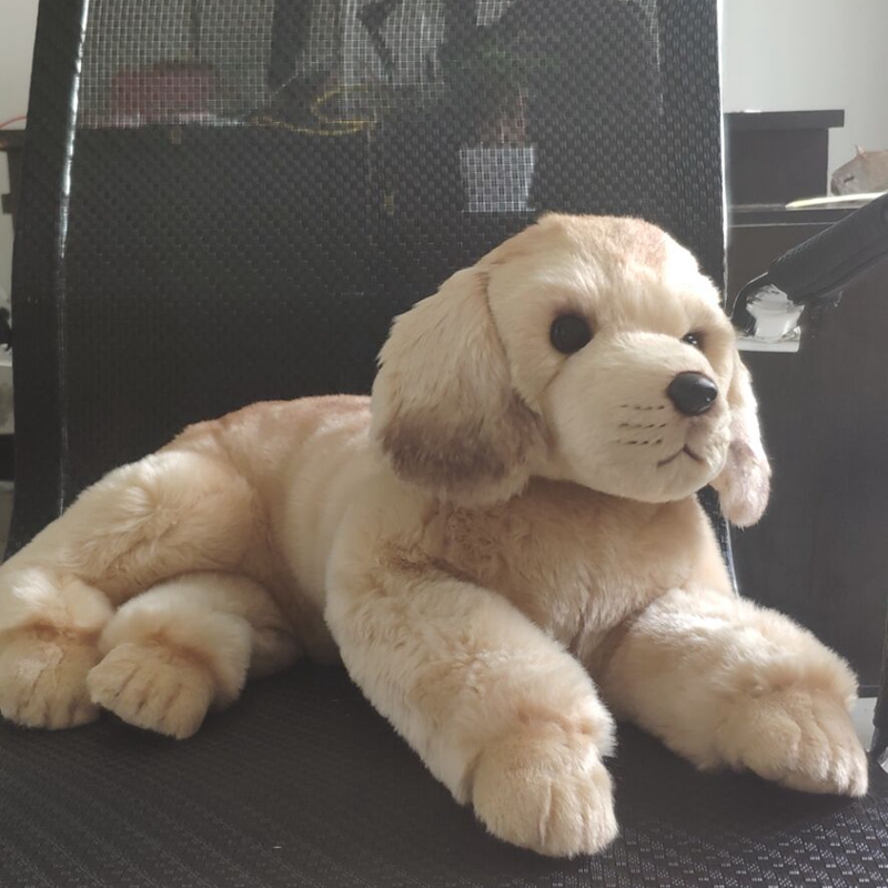 Quality Simulation Animal Golden Retriever Dog Plush Toy Stuffed Soft Prey dog Pet Doll 50X23cm DY50118